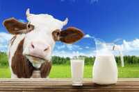 Продам фермерське молоко