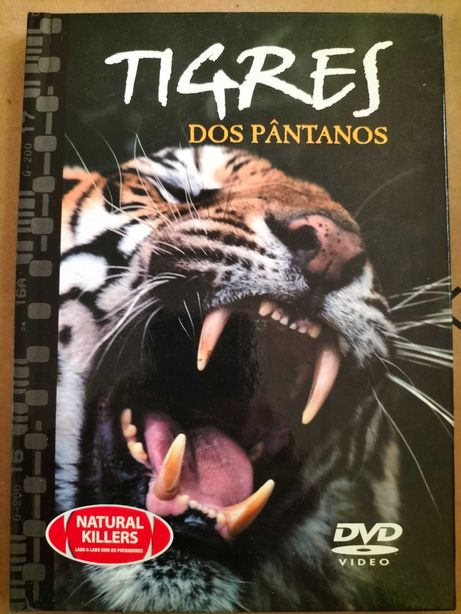 DVD " Tigres do pântano"