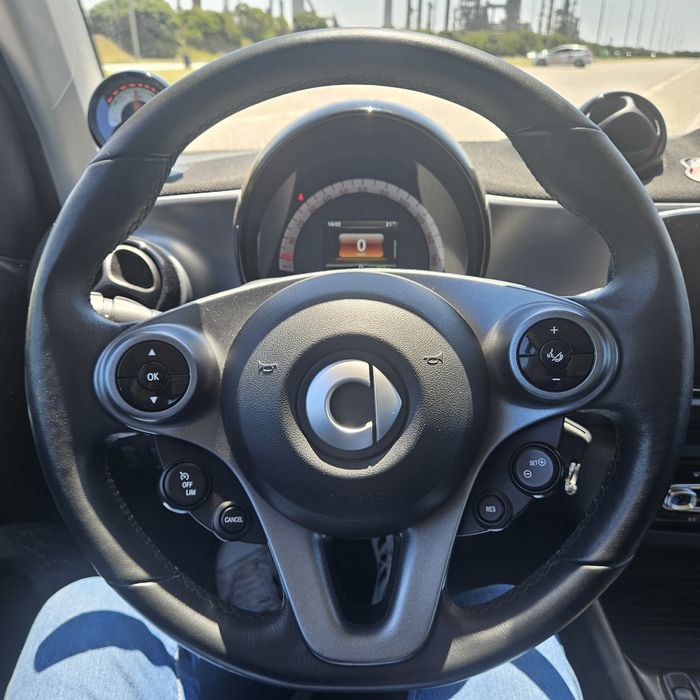 Smart electrico 2021