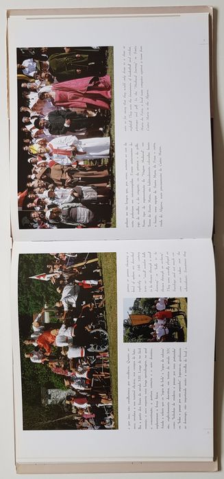 Viagem Medieval em Terras de Santa Maria da Feira - livro novo