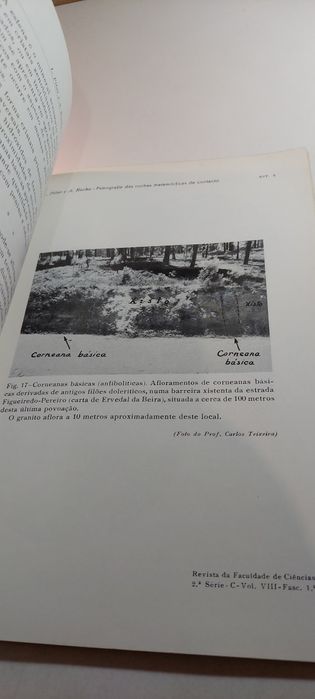 Petrografia das Rochas Metamórficas de Contacto da Região de Tondela