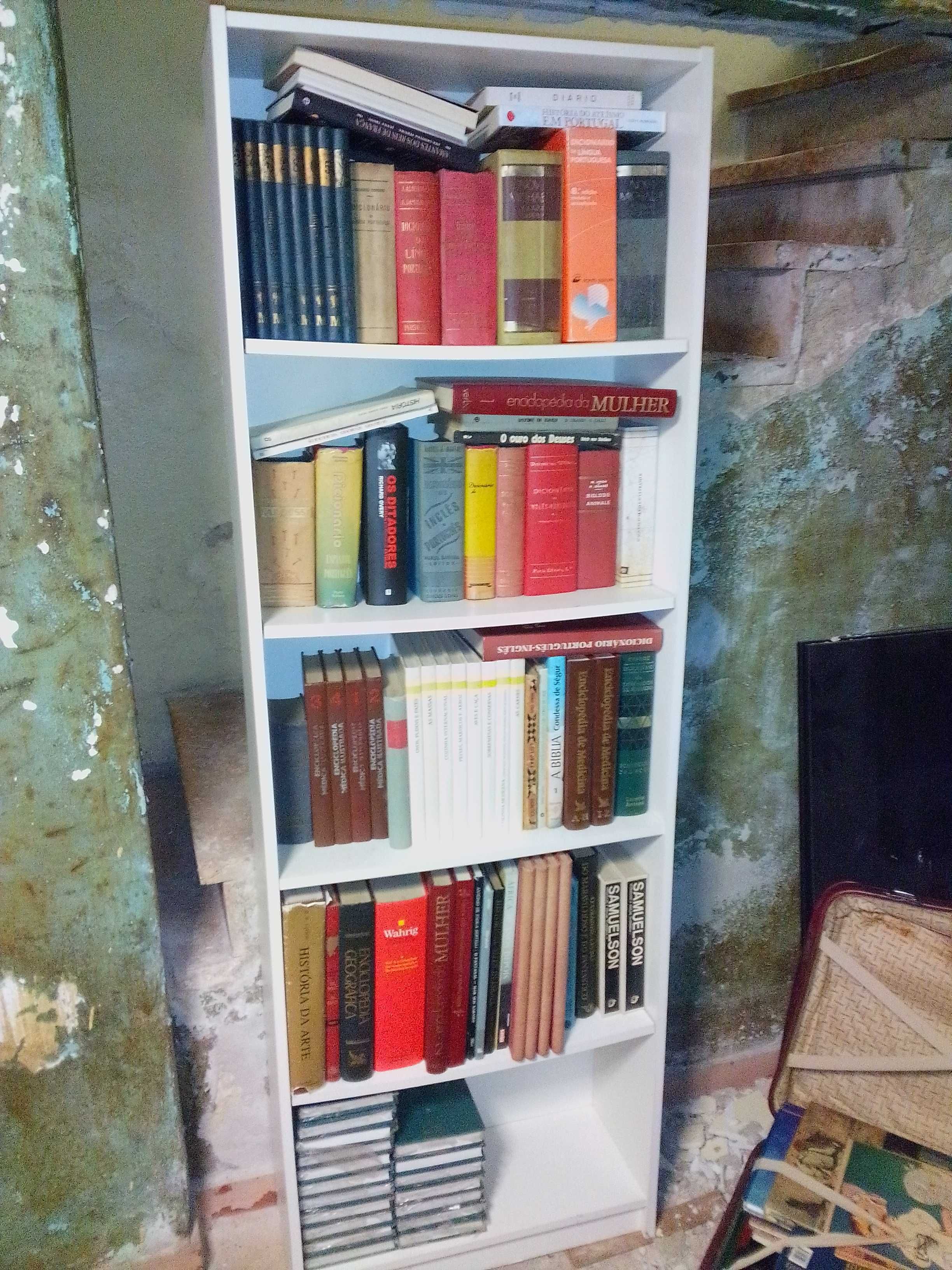 Lote de livros antigos