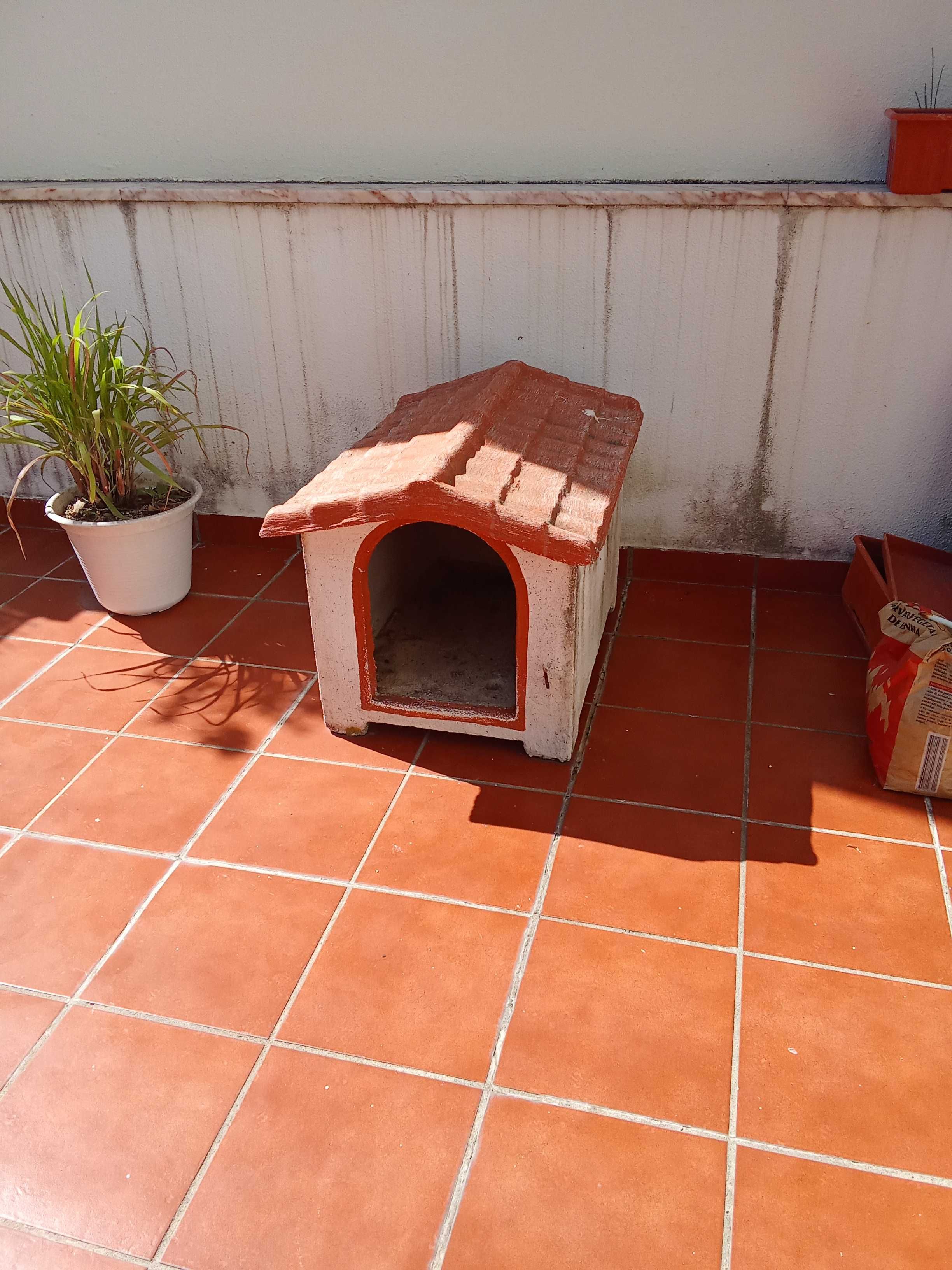 Casota muito gira para cão