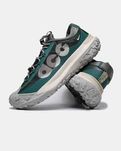 кросівки Nike ACG Mountain Fly Low 2 'Bicoastal' DV7903-300