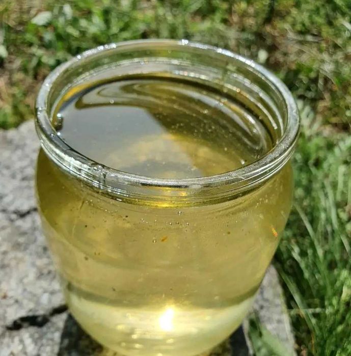 Мед акаційовий. Збір 2024 року