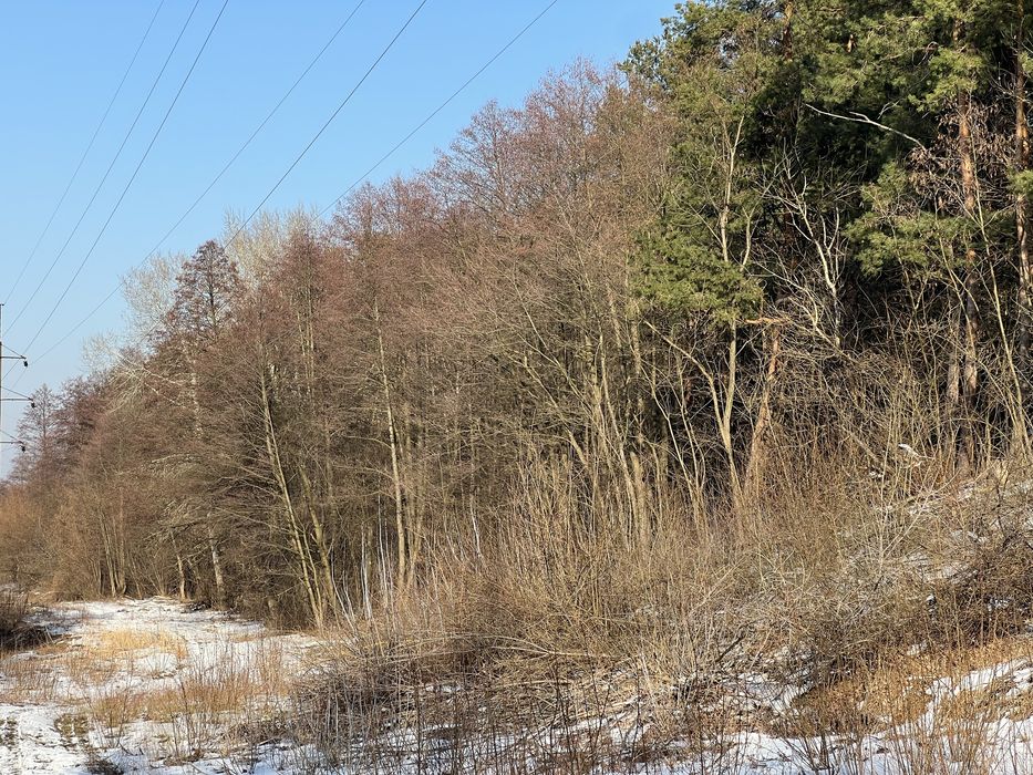 Земля 6гек Пуховка начало Лес свет газ асфальт интернет