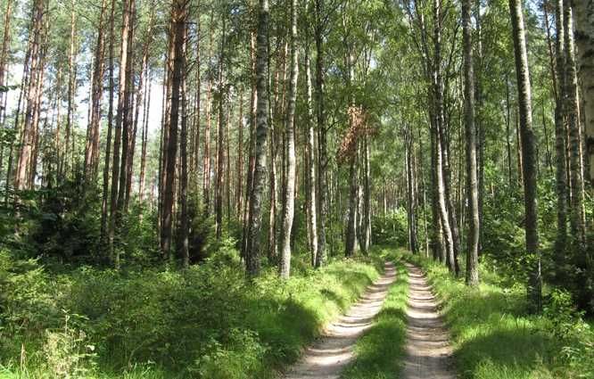 Domek letniskowy nad jeziorem, Mazury