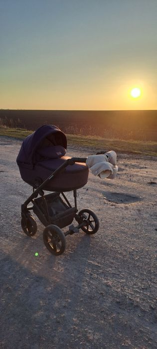 Коляска дитяча Angelina Premiera