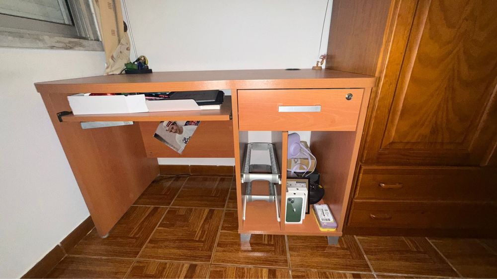 Secretaria castanha