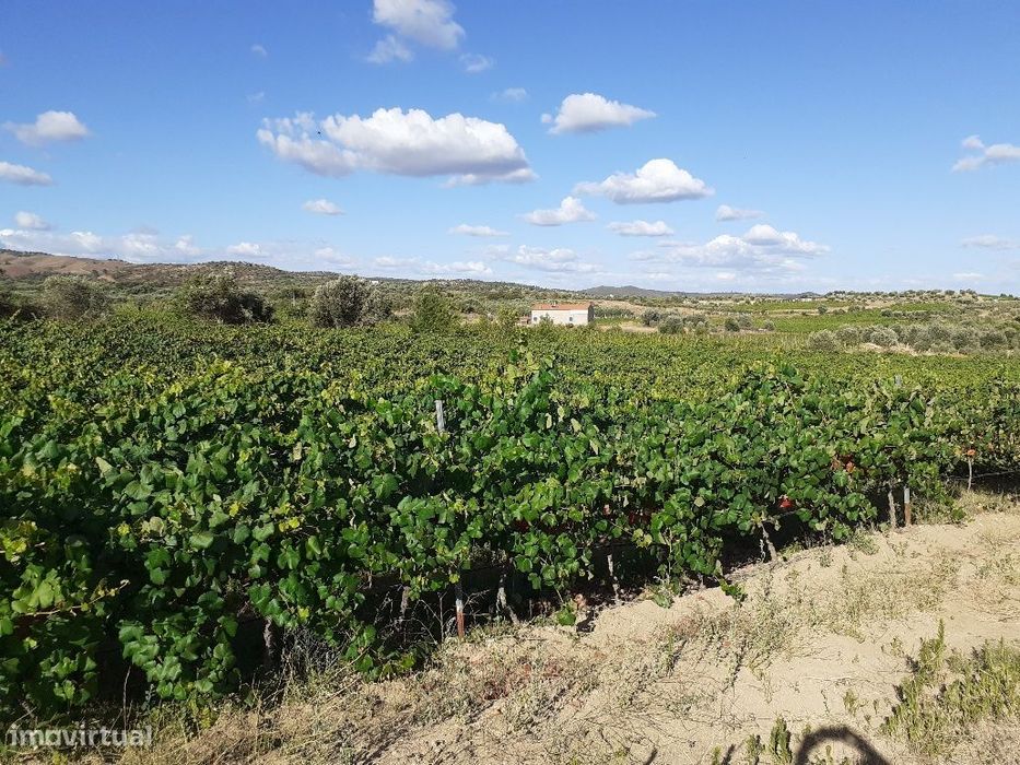 Quinta dos Capuchos, em Vila de Frades