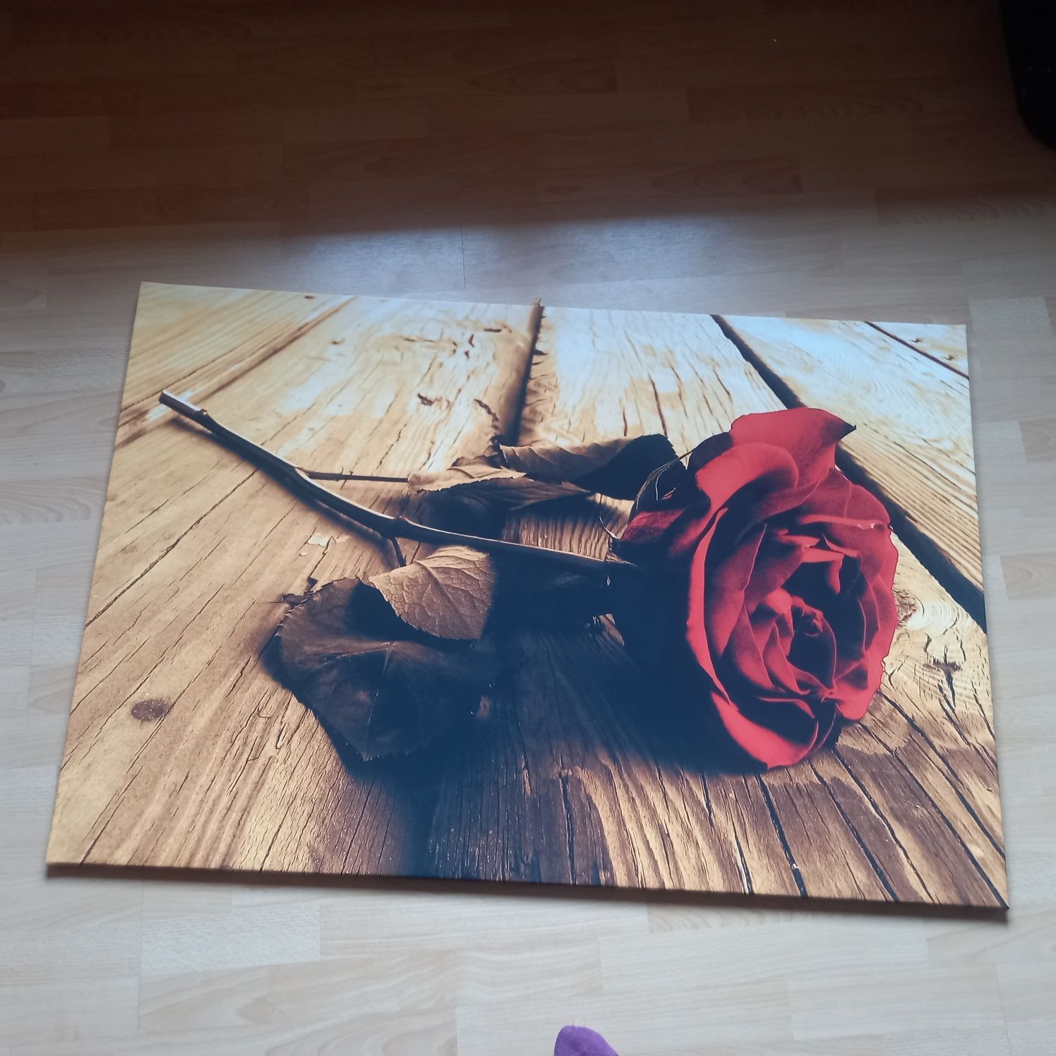Duży obraz róża czerwona 120x80