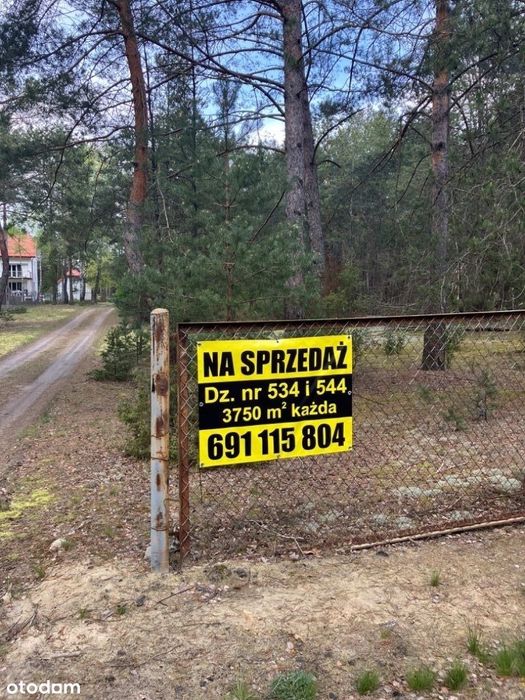 Okazja ! Pilnie sprzedam dwie działki leśne , Popowo (okolice Serocka)