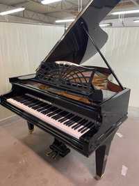 Fortepian Bechstein model B, po generalnym remoncie