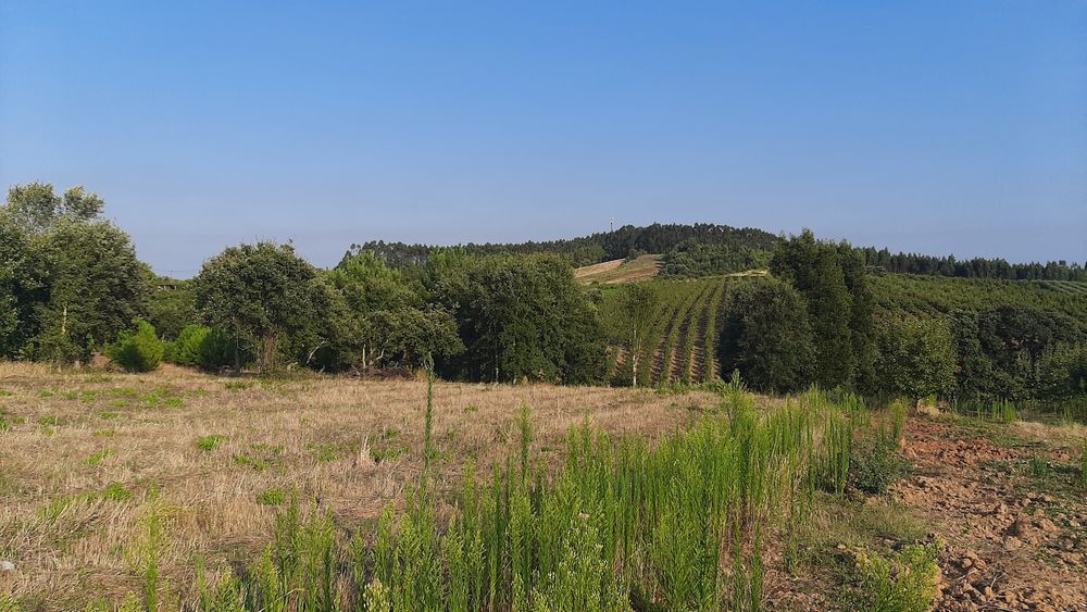 Terreno com 2.500 m²