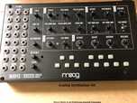 Moog Mavis Analog Synth