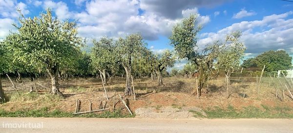 Lote terreno Rustico — Bencatel, Évora