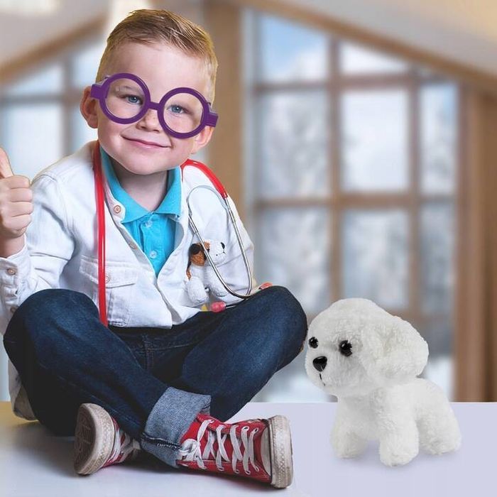 Zestaw Mały Doktor Lekarz Weterynarz Piesek Akcesoria Opieka Prezent