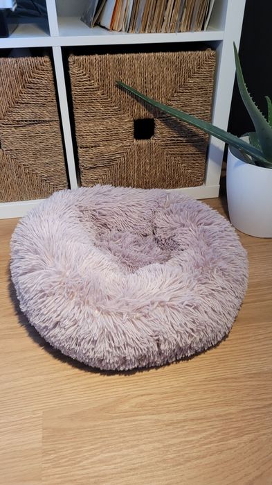 Caminha para animal