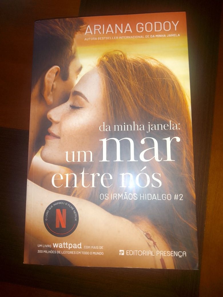 " Da minha janela um mar entre nós " de Ariana Godoy