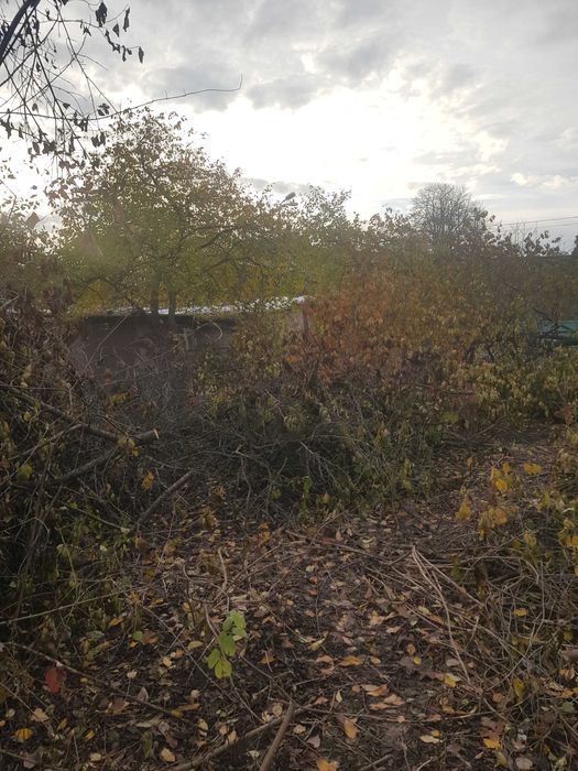 Продам гілля з дерев  на переробку .,паливну щіпу .