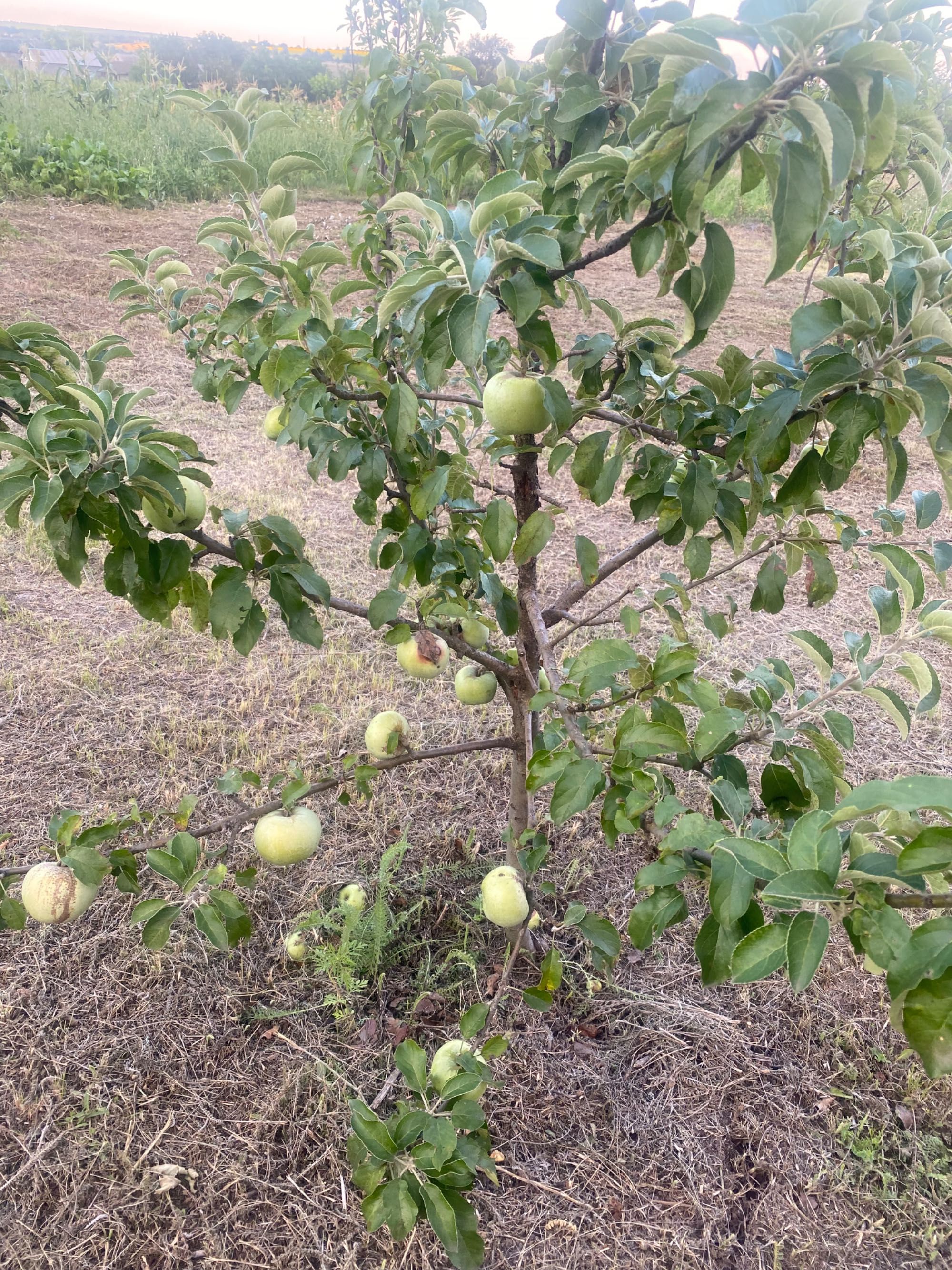 Продам жилой дом