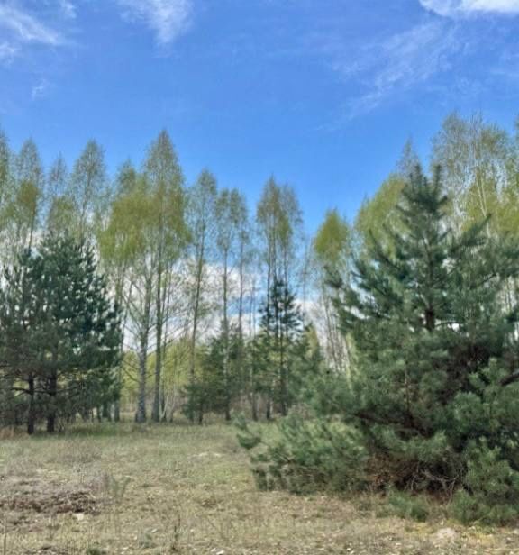 Продам земельну ділянку с. Калинівка 6,9 га