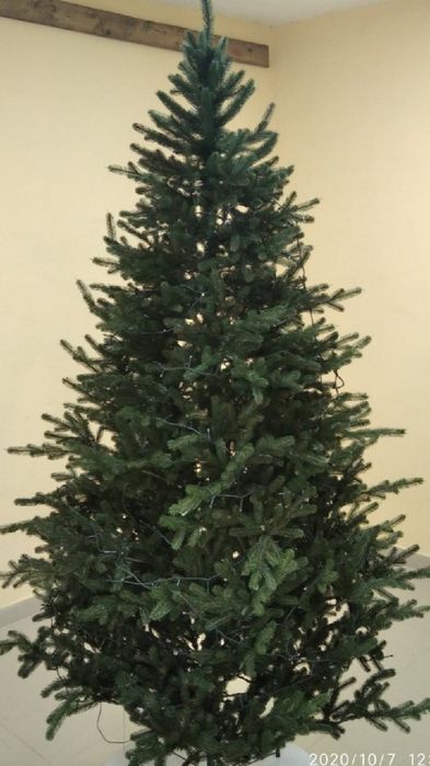 Віденська зелена купити ялинку