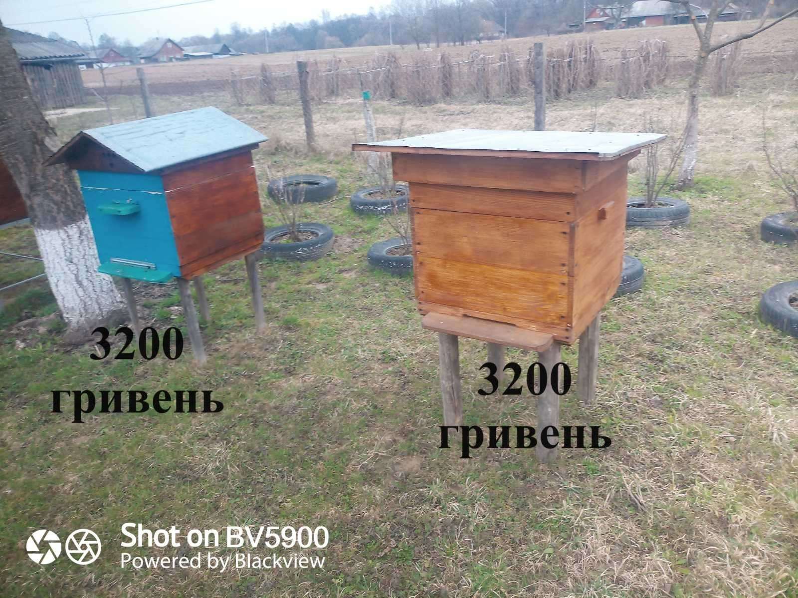Продаються вулики разом із бджолами. Можливість продажу бджоло-пакетів