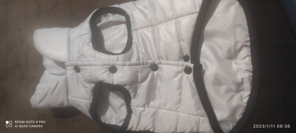 Одяг   для   собачок двох видів