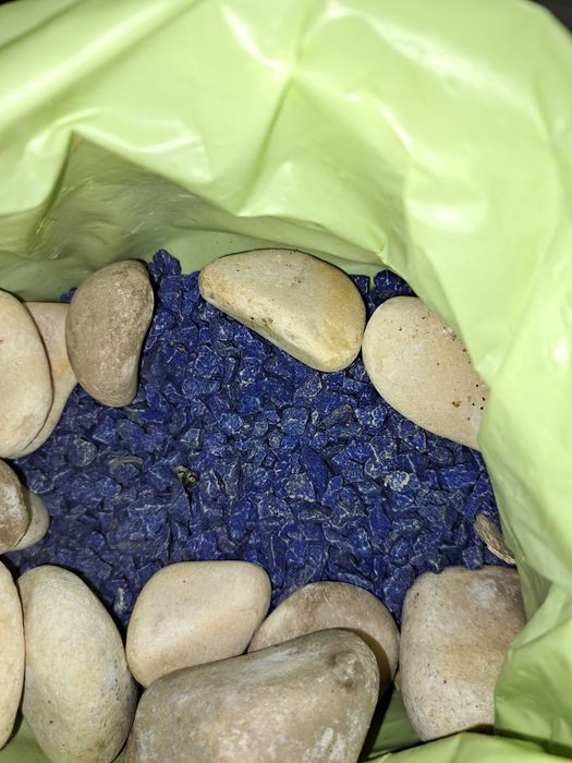 Aquário grande com equipamento para peixes de água quente