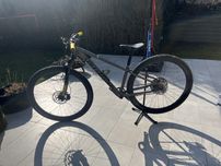 Specialized Rockhopper S 29 Judy 12,5 kg