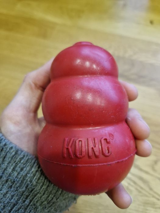 Kong duży rozmiar L