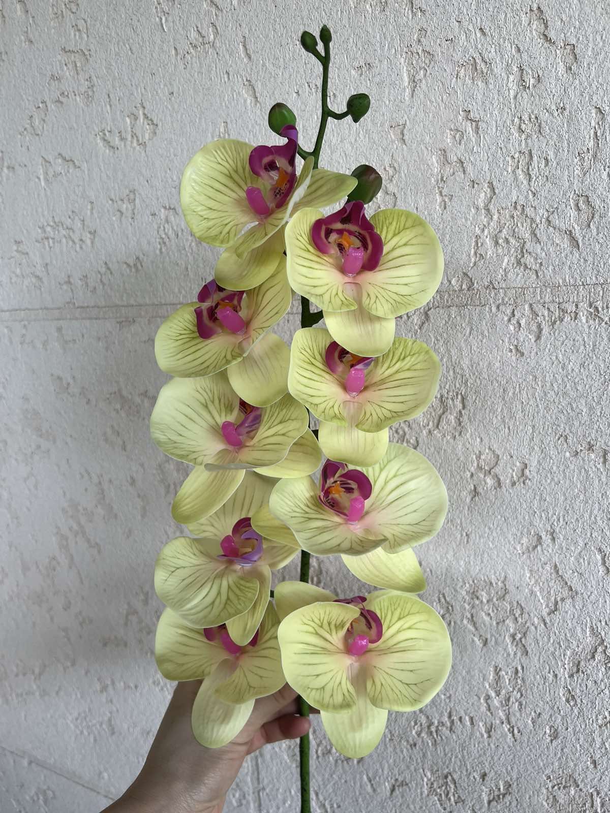 Гілочки орхідеї гелеві,латексні