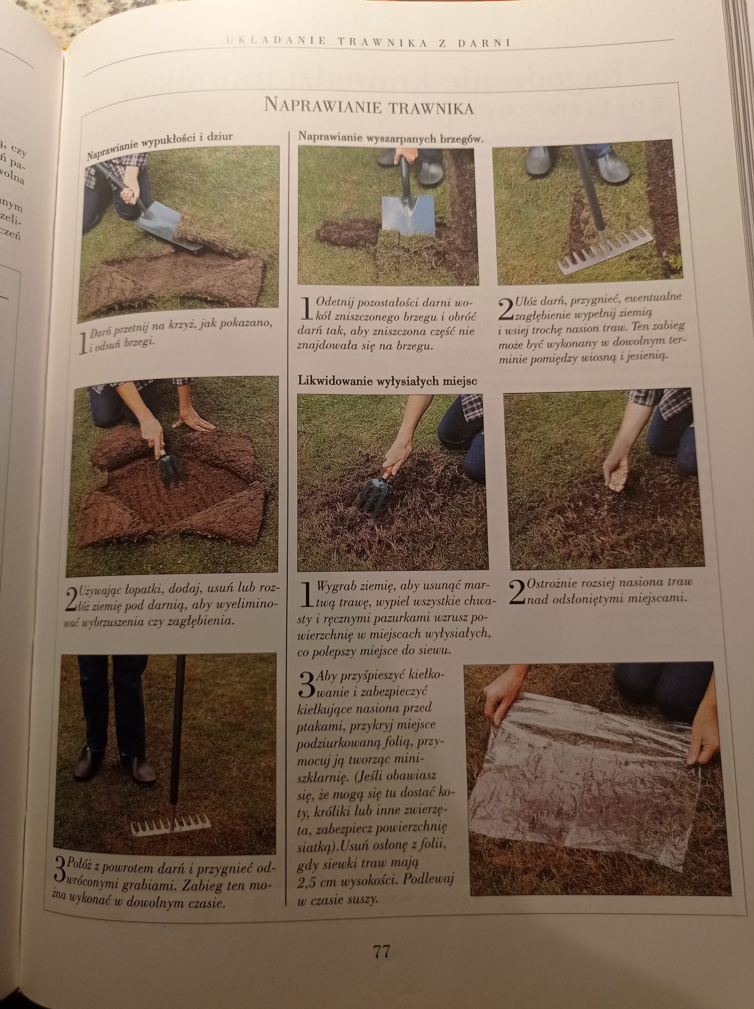 Niedzielny ogrodnik książka, poradnik