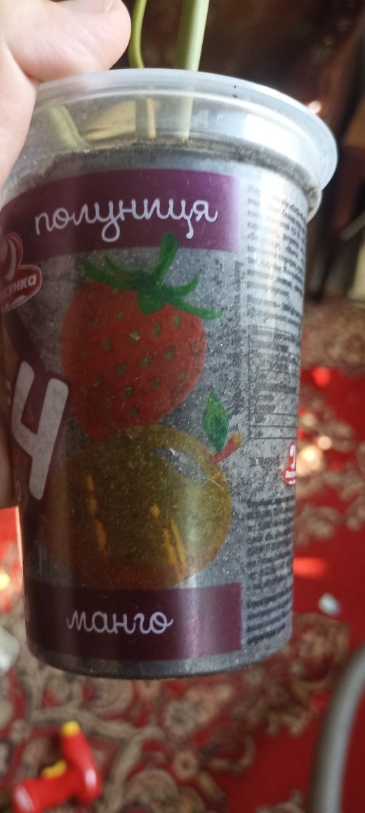 Аглаонема Фрідман