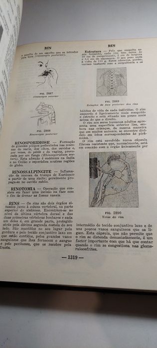 Dicionário Enciclopédico de Medicina - Artur do Céu Coutinho (1953)