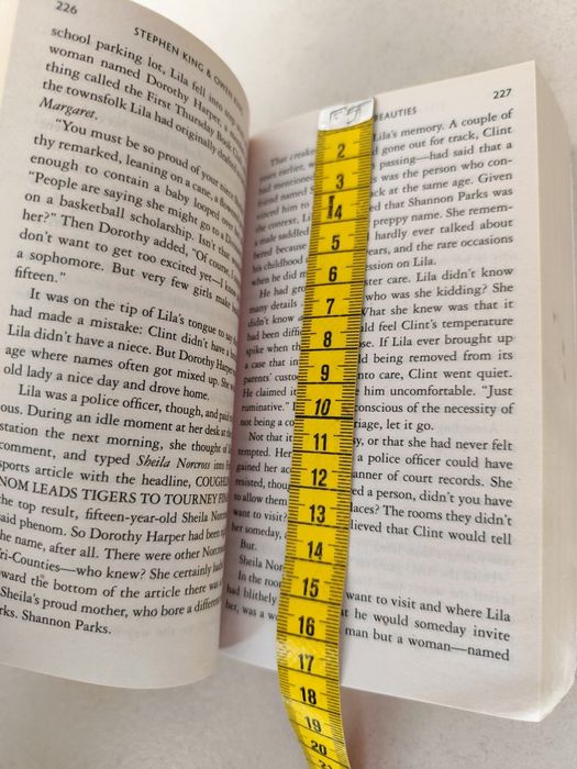 Livro: Sleeping Beauties de Stephen King & Owen King