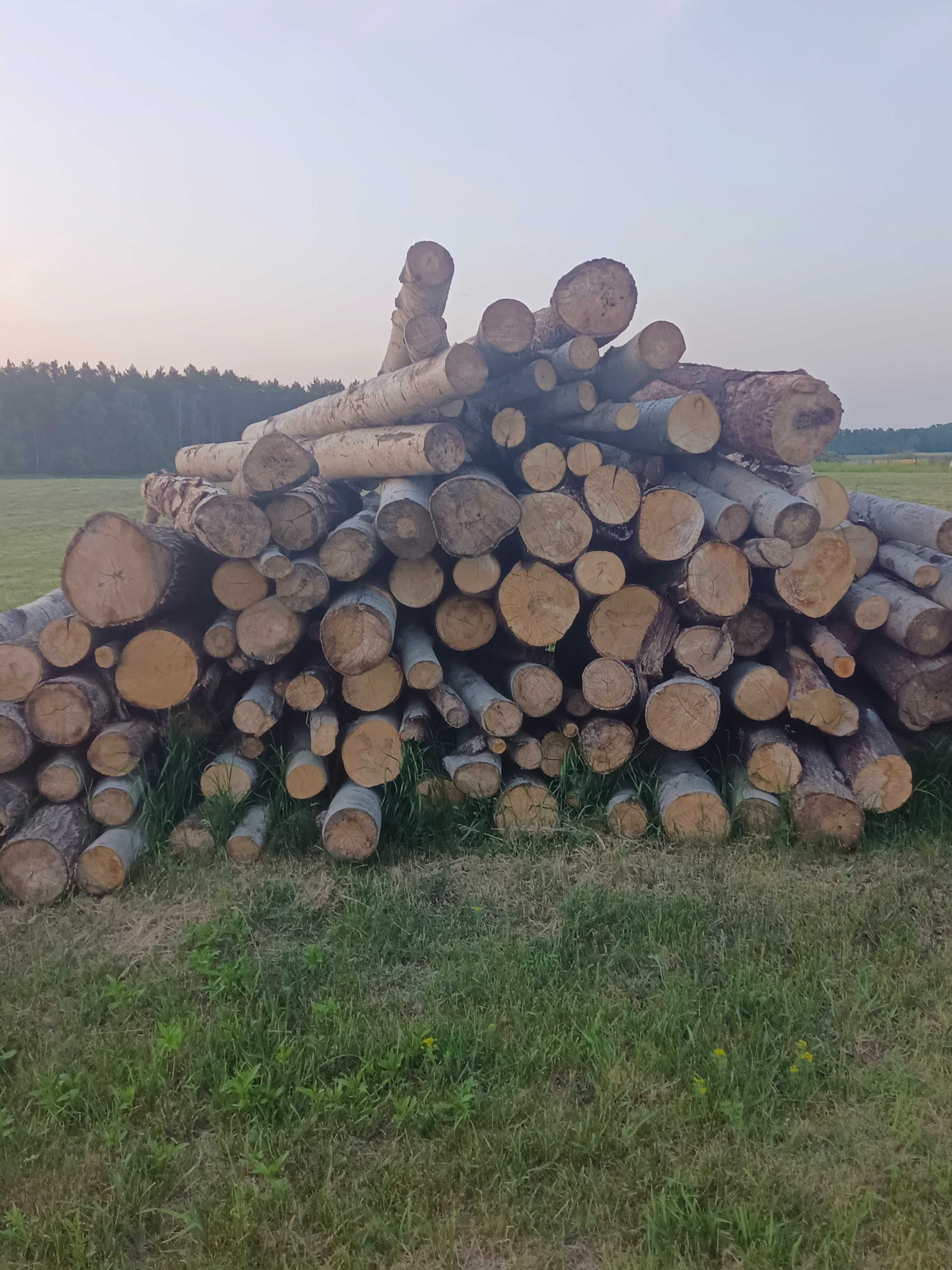 Sprzedam drewno kominkowe i opałowe