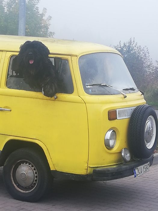 Agroturystyka Stary spichlerz w niemicy