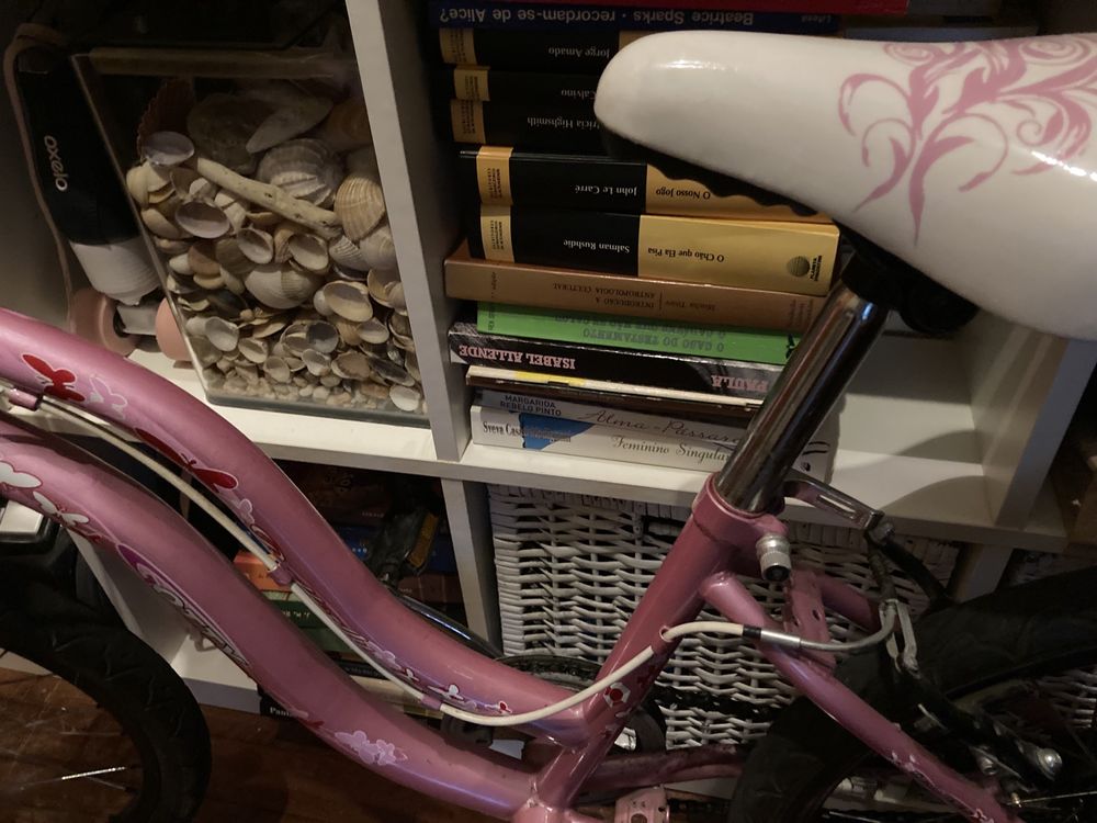 Bicicleta rosa roda 20