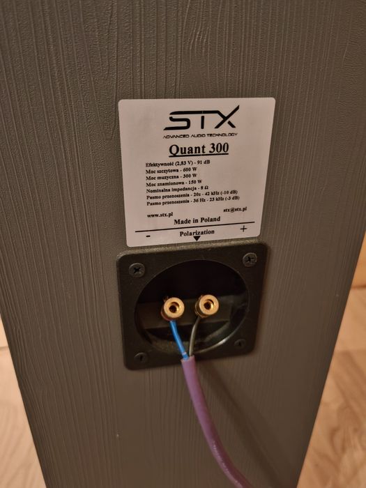 Kolumny podłogowe STX Quant 300