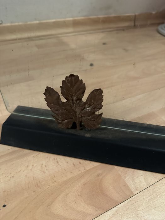 Proteção lareira vidro