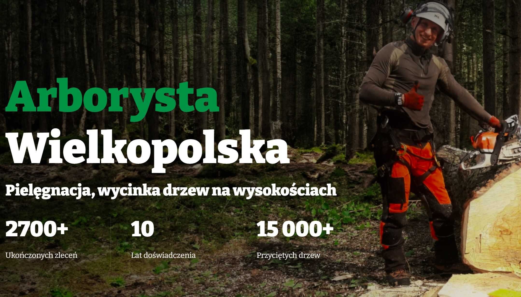 Wycinka drzew. przycinanie drzew, pielęgnacje drzew, karczowanie