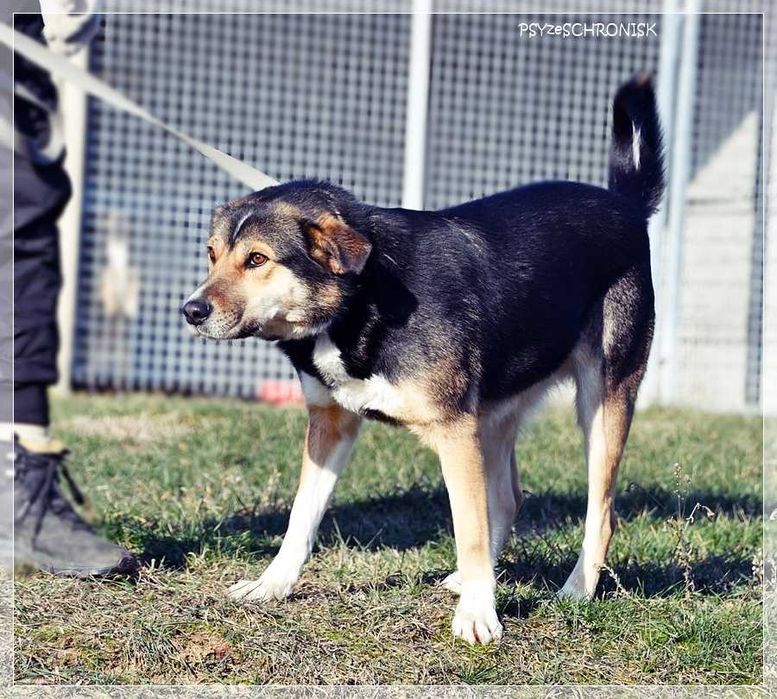 Klara – Twoja kandydatka na członka rodziny - pokochaj
