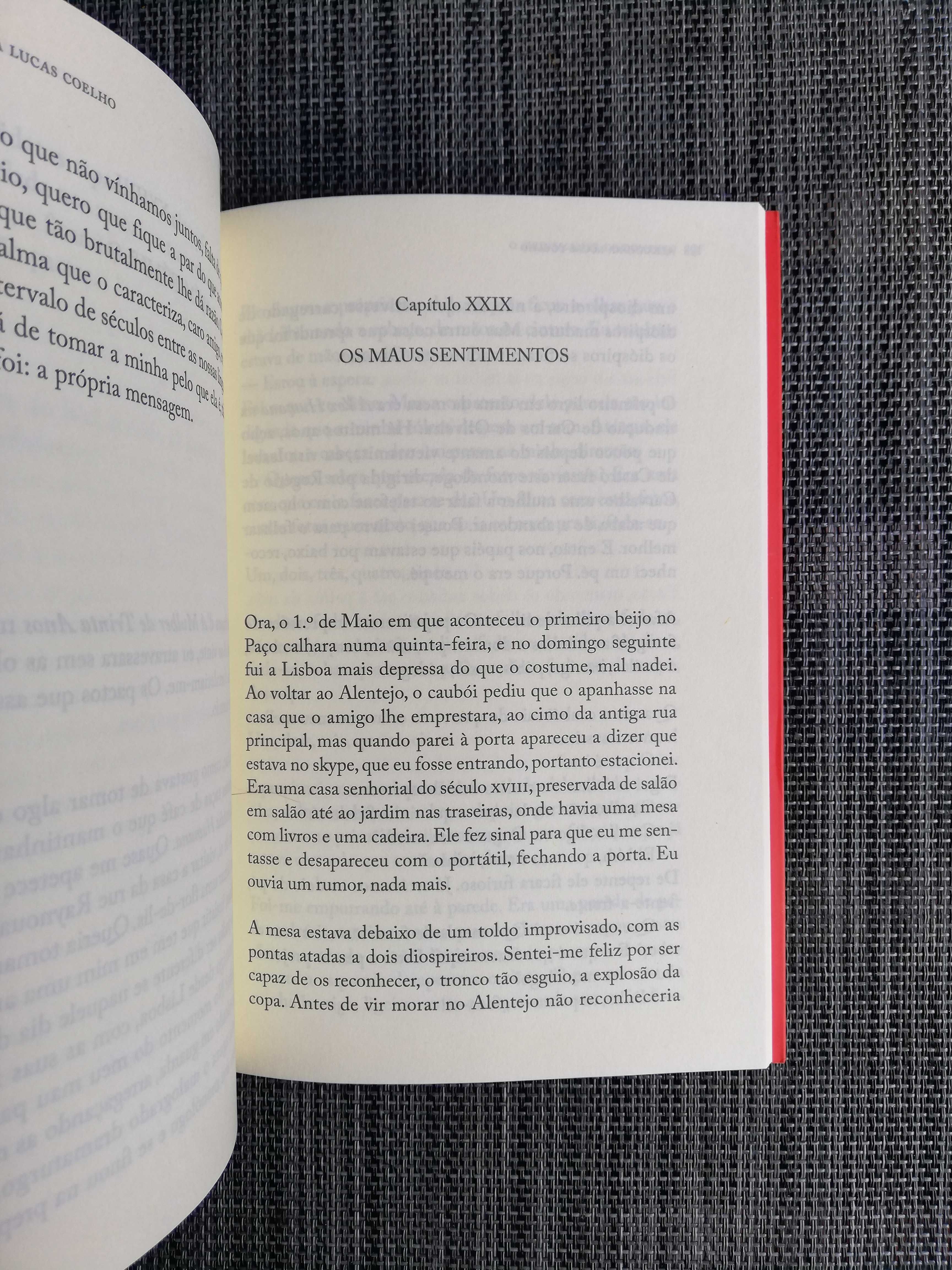 O Meu Amante de Domingo - Alexandra Lucas Coelho