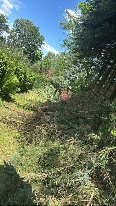 Opróżnianie mieszkań piwnic rozbiórki koszenia pranie tapicerki wywóz