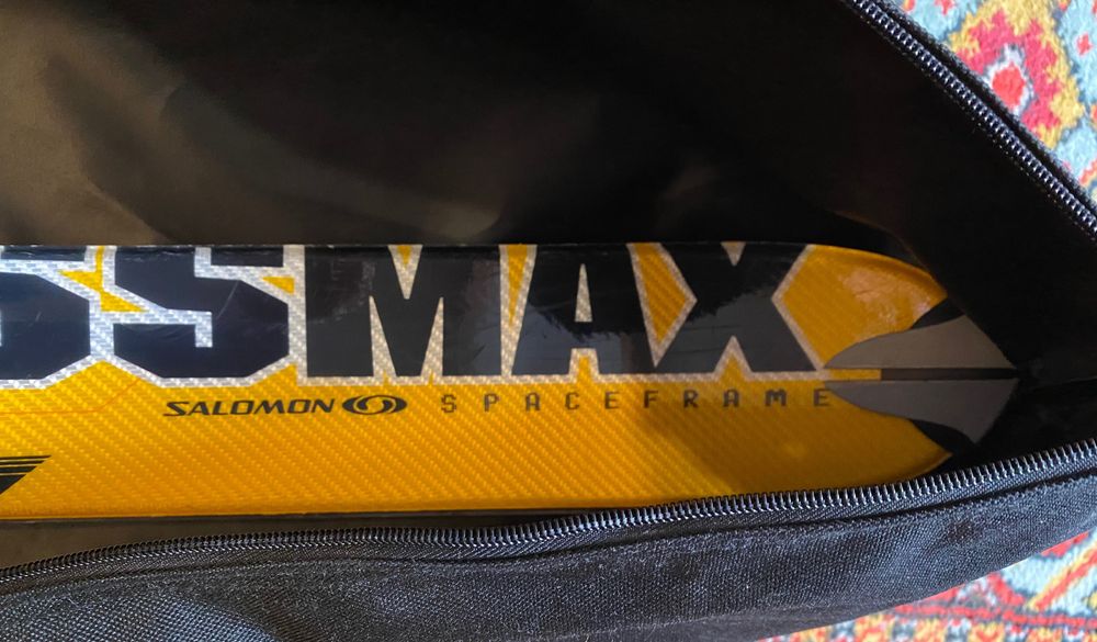 Горнолыжные лыжи