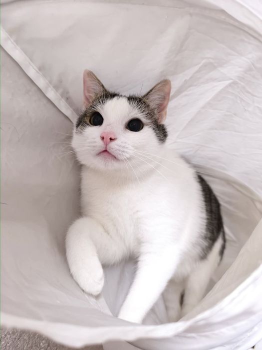 Szukamy i szukamy, ale nikt się o nią nawet nie pyta...