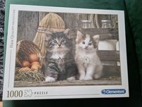 Puzzle dla dzieci Nowe puzzle 1000 Clementoni Kotki