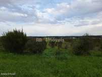 Terreno rústico com 21640m2 - Lamarosa, Torres Novas